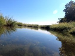 Stony Brook harbor